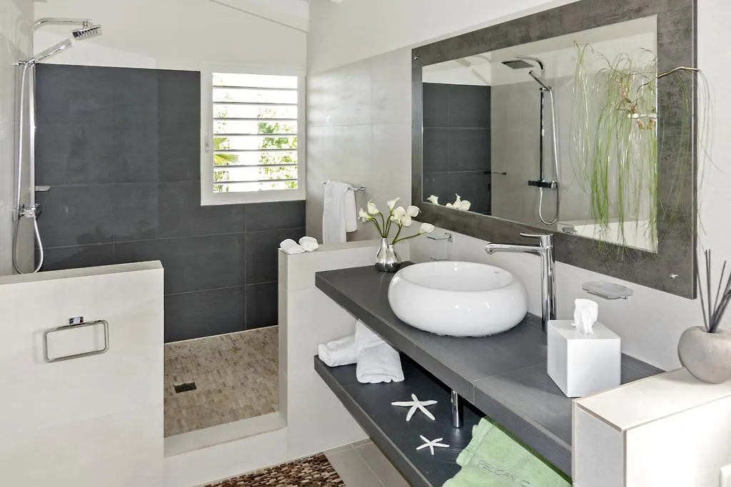 Seafacing Villas Apartments Rentals Les Terres Basses